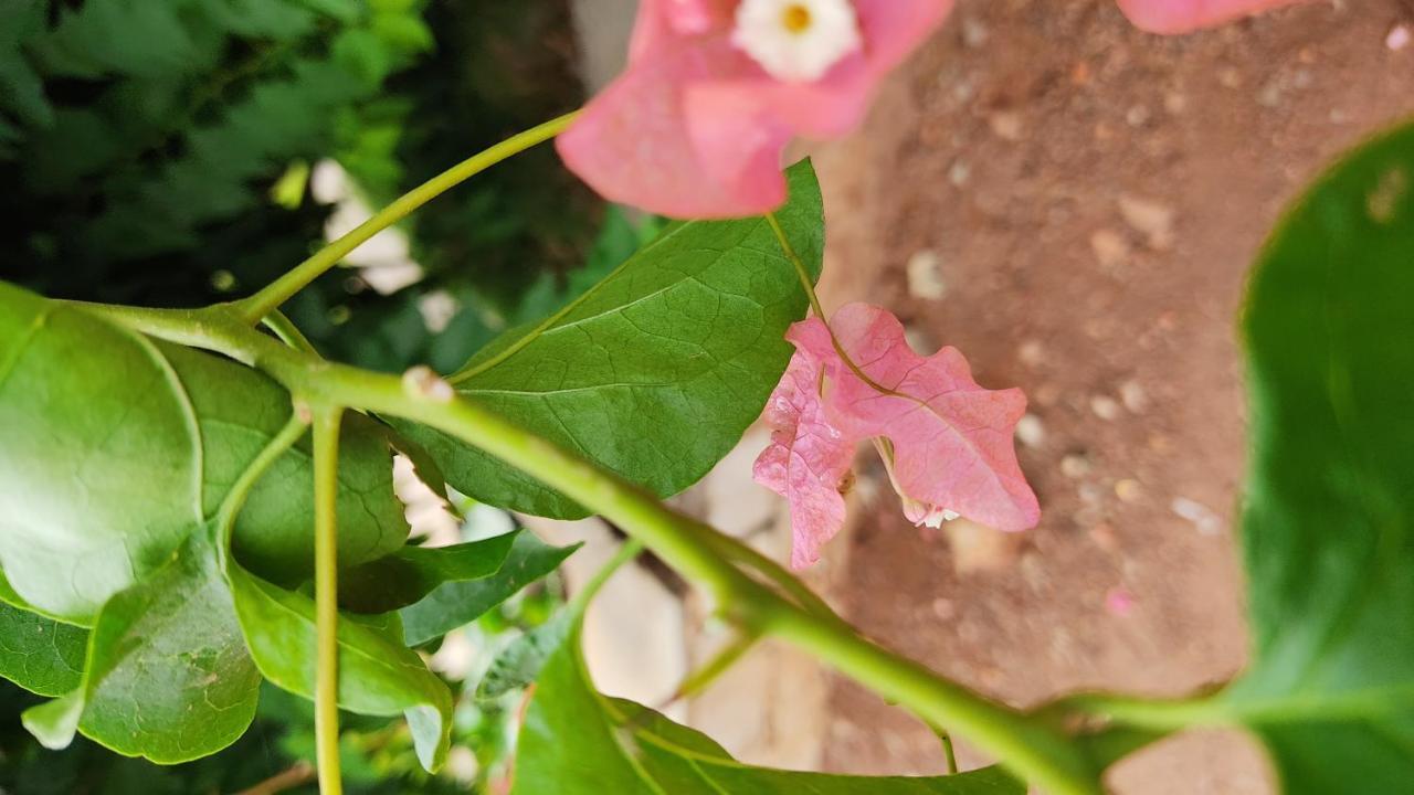 Bāgalkot Kanthi Resorts Badami מראה חיצוני תמונה