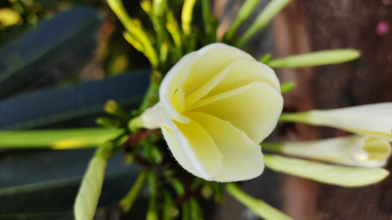 Bāgalkot Kanthi Resorts Badami מראה חיצוני תמונה
