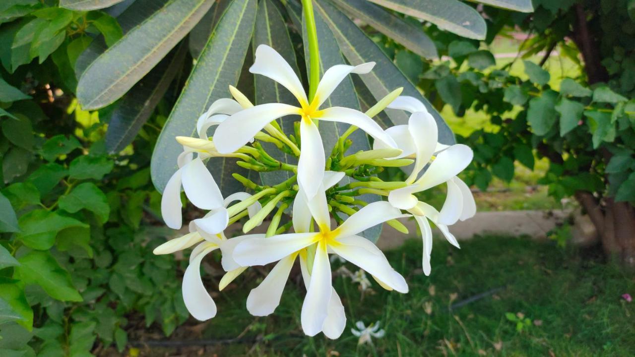 Bāgalkot Kanthi Resorts Badami מראה חיצוני תמונה