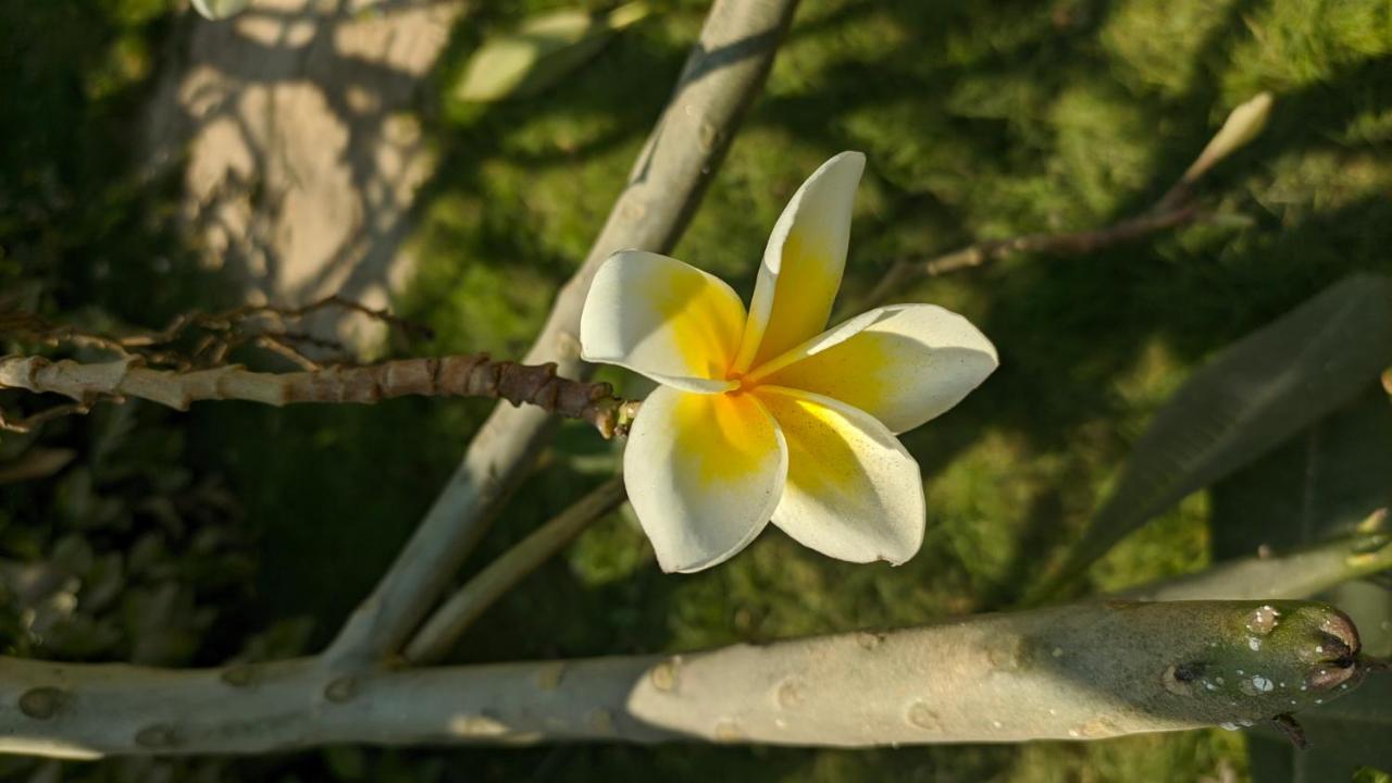 Bāgalkot Kanthi Resorts Badami מראה חיצוני תמונה