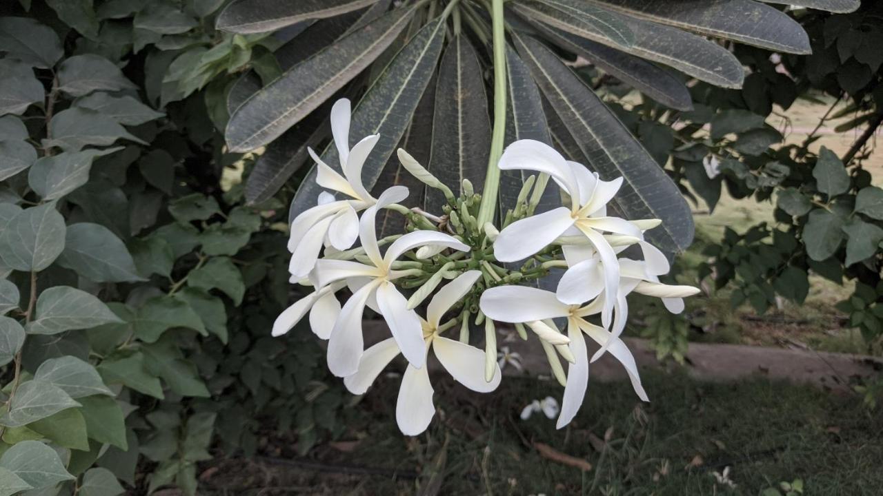 Bāgalkot Kanthi Resorts Badami מראה חיצוני תמונה