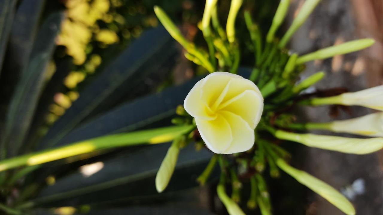 Bāgalkot Kanthi Resorts Badami מראה חיצוני תמונה