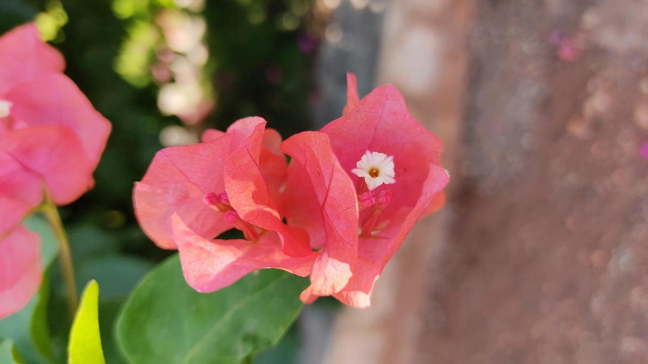 Bāgalkot Kanthi Resorts Badami מראה חיצוני תמונה